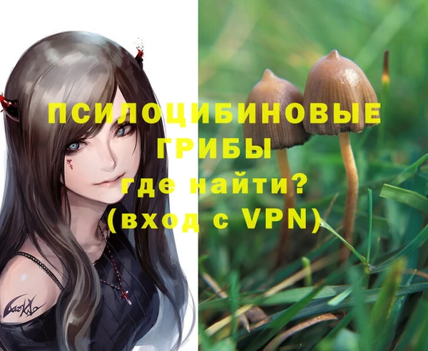 прущий лед Магас
