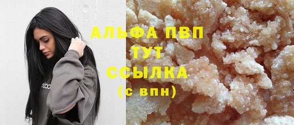 стаф Магадан