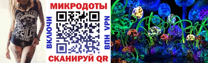 Псилоцибиновые грибы Psilocybe  Купить закладки  Архангельск 
